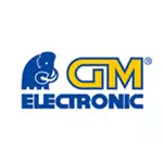 GM electronic